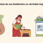 Site de compostage urbain à Lyon mis en place par Inov'Transfert
