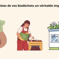 Site de compostage urbain à Lyon mis en place par Inov'Transfert
